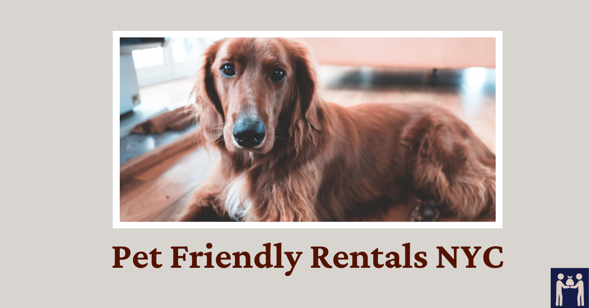 Find Best Rooms for Rent in Queens for 500