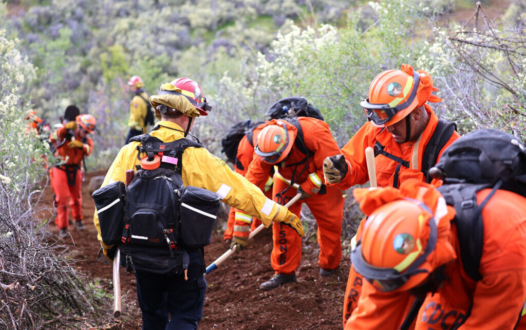 Government-Supported Rebuilding Grants After Wildfires